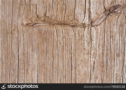 Dry Wooden Texture for your design.
