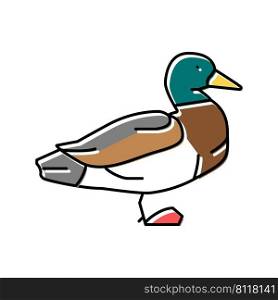 duck bird color icon vector. duck bird sign. isolated symbol illustration. duck bird color icon vector illustration