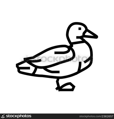 duck bird line icon vector. duck bird sign. isolated contour symbol black illustration. duck bird line icon vector illustration