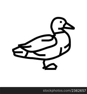 duck bird line icon vector. duck bird sign. isolated contour symbol black illustration. duck bird line icon vector illustration
