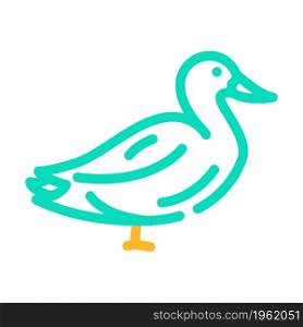 duck farm bird color icon vector. duck farm bird sign. isolated symbol illustration. duck farm bird color icon vector illustration