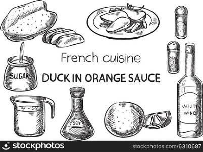 Duck In Orange Sauce. Creative conceptual vector. Sketch hand drawn french food recipe illustration, engraving, ink, line art, vector.