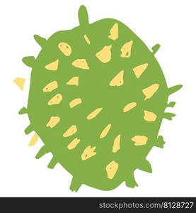 durian hand drawn illustration in organic style isolated. durian hand drawn illustration in organic style