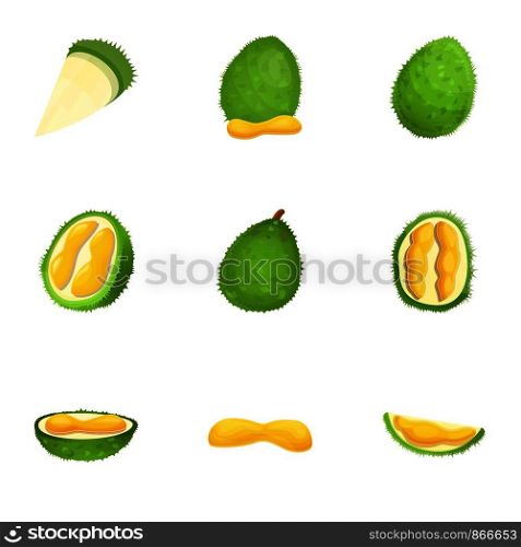 Durian icon set. Cartoon set of 9 durian vector icons for web design isolated on white background. Durian icon set, cartoon style
