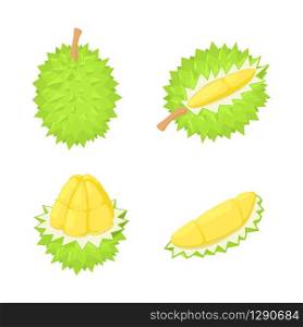 Durian icons set. Isometric set of durian vector icons for web design isolated on white background. Durian icons set, isometric style