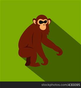 Dusky leaf monkey icon. Flat illustration of dusky leaf monkey vector icon for web. Dusky leaf monkey icon, flat style