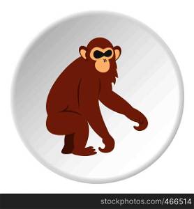 Dusky leaf monkey icon in flat circle isolated on white background vector illustration for web. Dusky leaf monkey icon circle