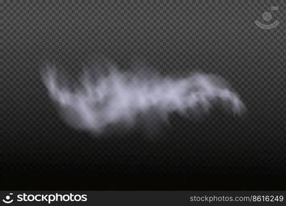 Dust cloud with particles,dirt,cigarette smoke, smog, soil and sand  particles. Realistic vector isolated on transparent background. 