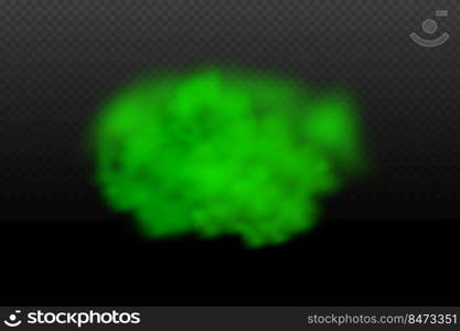 Dust green poisonous cloud with particles with dirt,cigarette smoke and smog. Realistic vector isolated on transparent background. 