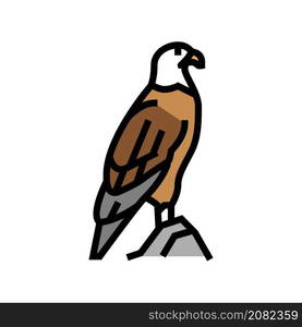 eagle bird in zoo color icon vector. eagle bird in zoo sign. isolated symbol illustration. eagle bird in zoo color icon vector illustration