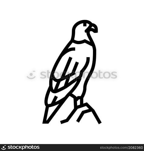 eagle bird in zoo line icon vector. eagle bird in zoo sign. isolated contour symbol black illustration. eagle bird in zoo line icon vector illustration
