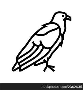 eagle bird line icon vector. eagle bird sign. isolated contour symbol black illustration. eagle bird line icon vector illustration