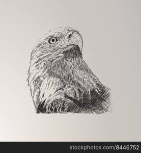 eagle hand drawn sketch