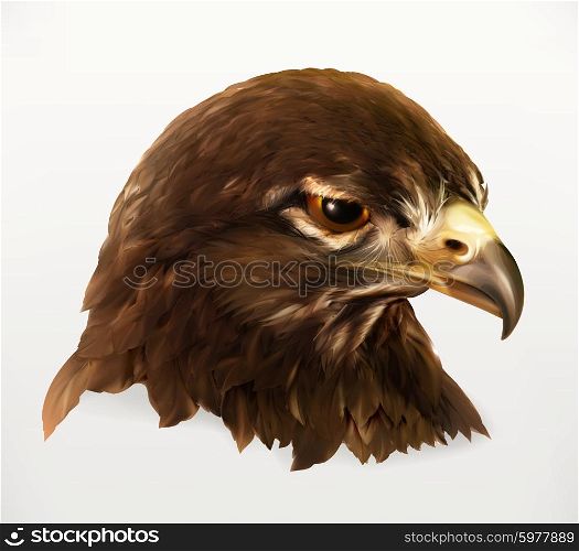 Eagle head, realistic vector illustration
