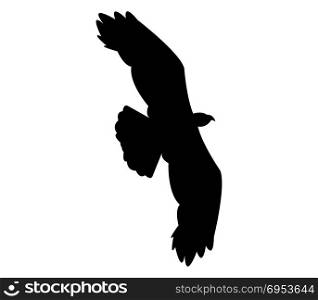 eagle icon