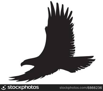 eagle silhouette