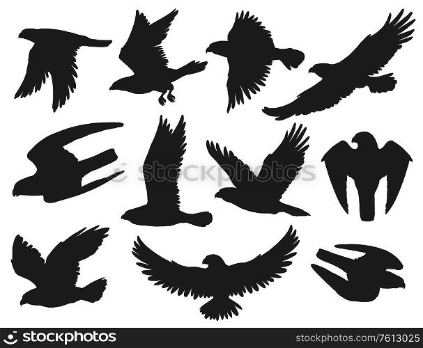 Eagles and hawks black silhouettes set, vector wild flying birds outspread wings, swoop down to catch prey, hunting. Heraldic eagles with attacking claws, american patriotic symbols, monochrome emblem. Eagles and hawks black silhouettes, vector birds