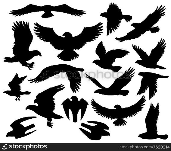 Eagles, falcons and predatory birds heraldry silhouettes. Vector isolated heraldic coat of arms symbols of vultures and hawks, flying birds of prey and bald eagle, falconry or falcon hunt. Predatory eagle or falcon hawk birds silhouettes
