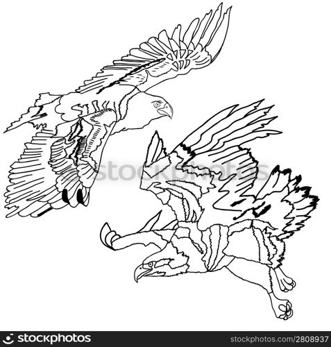 Eagles symbols and tattoo, vector illustration.