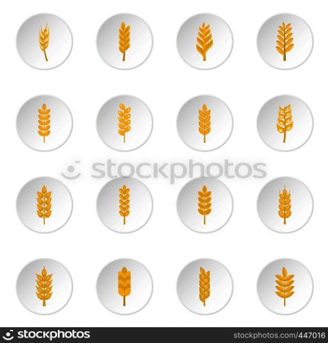 Ear corn icons set in flat style isolated vector icons set illustration. Ear corn icons set in flat style