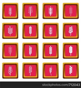 Ear corn icons set in pink color isolated vector illustration for web and any design. Ear corn icons pink