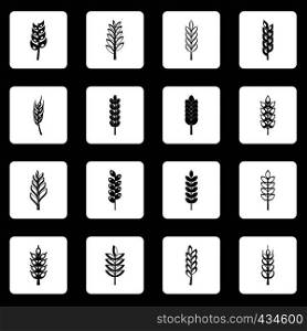 Ear corn icons set in white squares on black background simple style vector illustration. Ear corn icons set squares vector