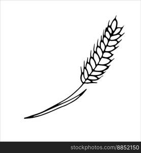 Ear of wheat. Coloring page, design element. Doodle style. Vector Illustration. Elements for cover, web, printing, design illustrations in the style of outline. Ear of wheat. Coloring page, design element. Doodle style. Vector Illustration.