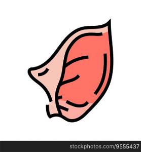 ear pig animal color icon vector. ear pig animal sign. isolated symbol illustration. ear pig animal color icon vector illustration