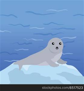 Earless seal on floe in the ocean. Flat style vector. Wild animal. Northern fauna species. Cute baby of sea calf in habitat. For nature concepts, children s books illustrating, printing materials. Earless seal Vector Illustration in Flat Design. Earless seal Vector Illustration in Flat Design