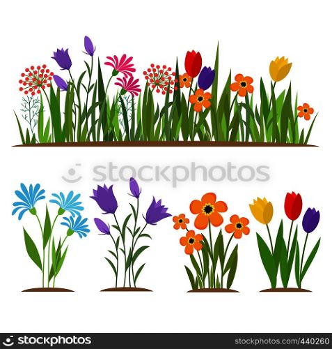 Early spring forest and garden flowers isolated on white vector set. Illustration of nature flower spring and summer in garden. Early spring forest and garden flowers isolated on white vector set