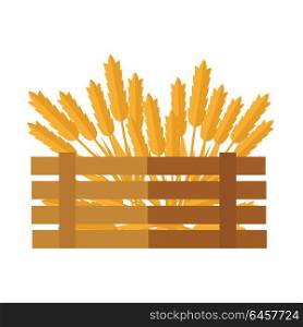 Ears of cereal vector. Flat design. New harvest, grain growing concept. Illustration of wooden box, full of wheat, rye, oat, ears for bakery, bread store, agricultural company ad printing, web design.. Wheat Concept Vector Illustration in Flat Design.