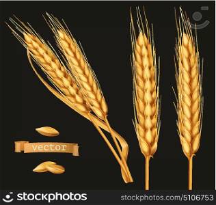Ears of wheat. 3d vector icon set on black