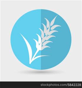 Ears of Wheat, Barley or Rye vector visual graphic icons, ideal for bread packaging, beer labels etc.