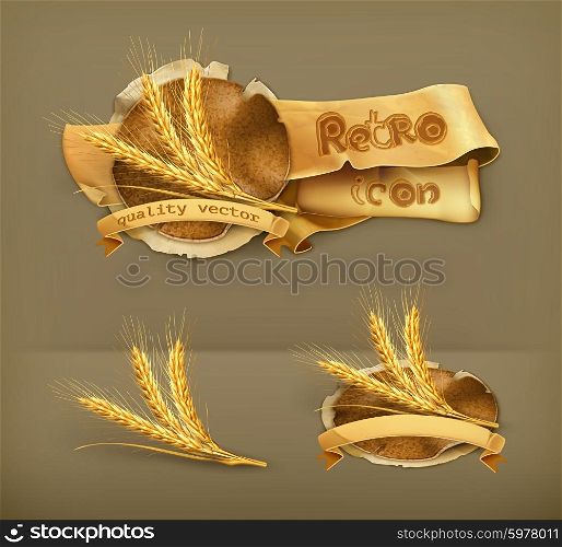 Ears of wheat, vector icon