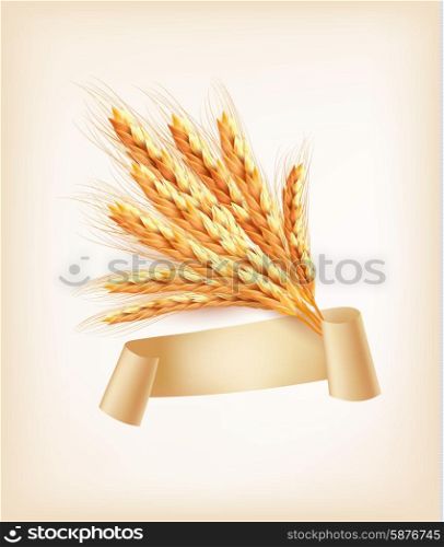 Ears of wheat. Vector illustration.