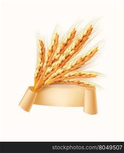 Ears of wheat. Vector illustration.