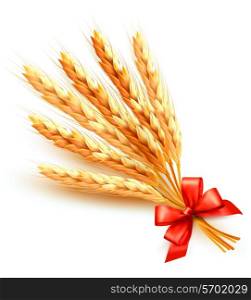 Ears of wheat with red bow. Vector.