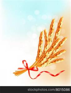 Ears of wheat with red ribbon. Vector illustration.