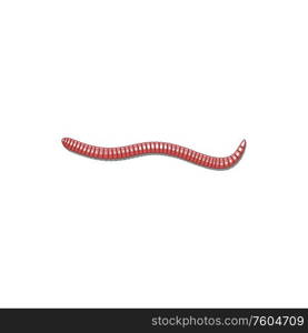 Earthworm isolated tube-shaped, segmented red worm. Vector crawling wriggle pest, cartoon invertebrate. Segmented pink worm isolated wriggle earthworm