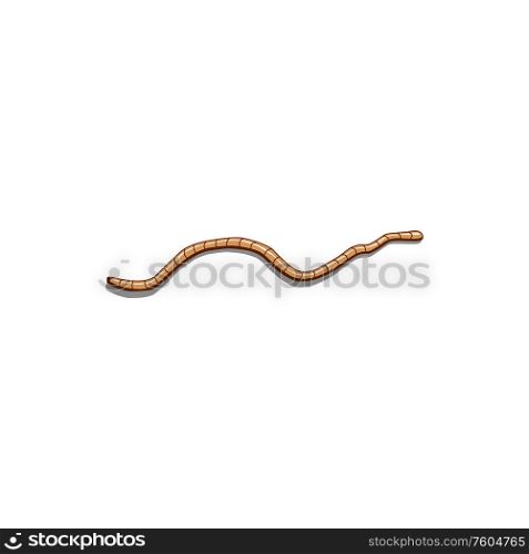 Earthworm isolated tube-shaped, segmented worm. Vector brown microdriles, crawling wriggle pest. Segmented thin worm isolated brown wriggle warm