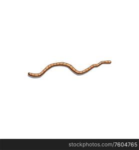 Earthworm isolated tube-shaped, segmented worm. Vector brown microdriles, crawling wriggle pest. Segmented thin worm isolated brown wriggle warm
