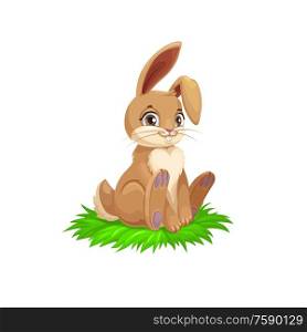 Easter bunny or rabbit on grass, religion holiday egg hunt vector theme. Brown bunny with cute ears and tail sitting on green grass, Easter egghunting, Christian Resurrection celebration. Brown bunny or rabbit, Easter holiday
