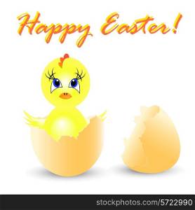 easter holiday illustration with chicken, isolated on white background