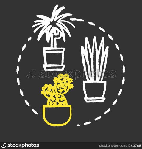 Easy to care plants chalk RGB color concept icon. Unpretentious indoor potted flowers. Succulents and cactuses idea. Vector isolated chalkboard illustration on black background