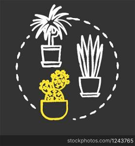 Easy to care plants chalk RGB color concept icon. Unpretentious indoor potted flowers. Succulents and cactuses idea. Vector isolated chalkboard illustration on black background
