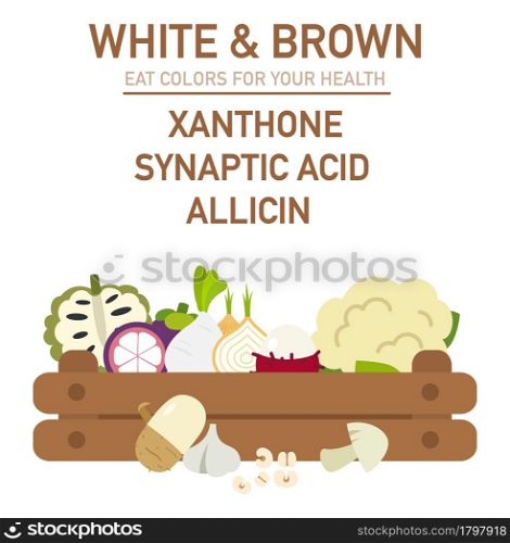 Eat colors for your health-WHITE & BROWN FOOD,Eat a rainbow of fruits and vegetables,vector illustration.
