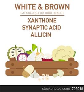 Eat colors for your health-WHITE & BROWN FOOD,Eat a rainbow of fruits and vegetables,vector illustration.