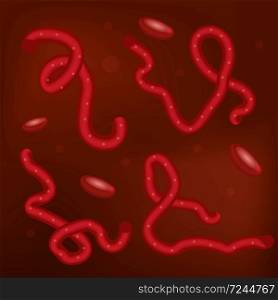 Ebola virus in blood set 3D, realistic style. Microorganism macro view. Vector illustration.. Ebola virus in blood set 3D, realistic style. Microorganism macro view. Vector illustration
