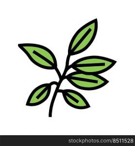 ebony leaf color icon vector. ebony leaf sign. isolated symbol illustration. ebony leaf color icon vector illustration