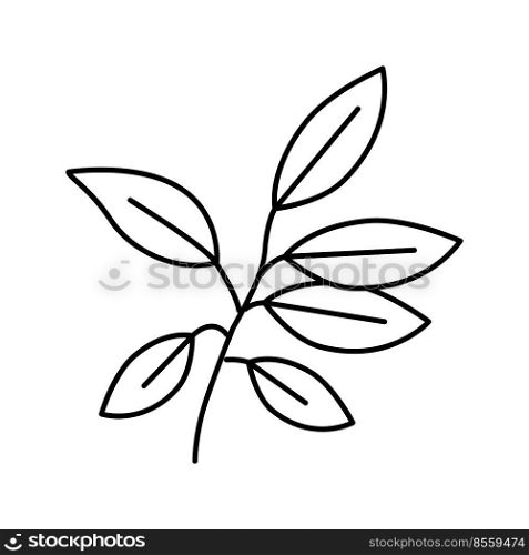 ebony leaf line icon vector. ebony leaf sign. isolated contour symbol black illustration. ebony leaf line icon vector illustration